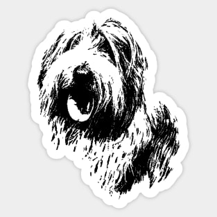 Bearded Collier Sticker